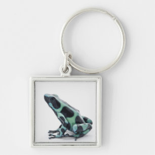 Zwarte en groene giftige kunstkikker sleutelhanger