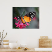 Zwarte en Oranje Butterfly 2 Poster (Keuken)