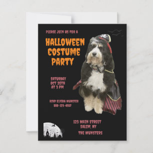 Zwarte en Oranje hond in piratenkostuumfeest Briefkaart