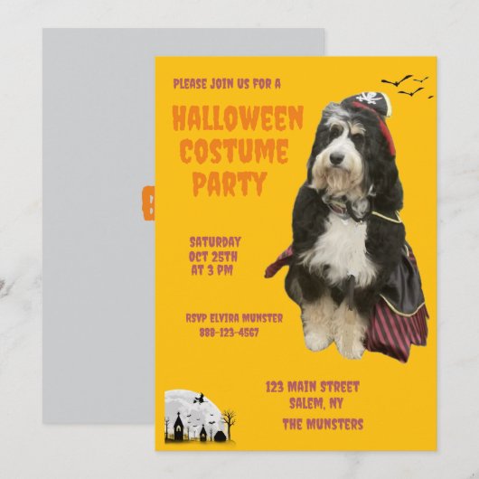 Zwarte en Oranje hond in piratenkostuumfeest Kaart (Voorkant / Achterkant)