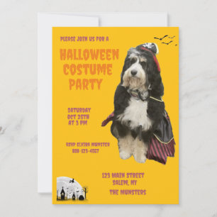 Zwarte en Oranje hond in piratenkostuumfeest Kaart