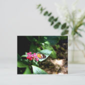 Zwarte en Oranje vlinder Briefkaart (Staand voorkant)