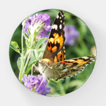 Zwarte en Oranje Vlinder op Lila Bloem