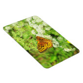 Zwarte en Oranje vlinder op witte bloemen Magneet (Rechterzijde)