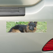 Zwarte en Tan Alsatian Bumpersticker (Op auto)
