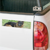 Zwarte en Tan Alsatian Bumpersticker (Op Truck)
