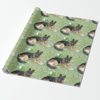 Zwarte en Tan Alsatian Cadeaupapier
