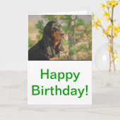 Zwarte en Tan Coonhound Kaart (Gele Bloem)