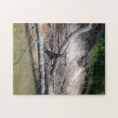 Zwarte en Tan Coonhound Treing in de rivier Legpuzzel (Horizontaal)