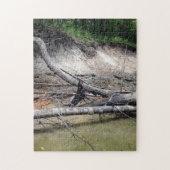 Zwarte en Tan Coonhound Treing in de rivier Legpuzzel (Verticaal)