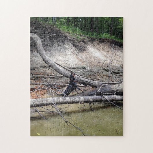 Zwarte en Tan Coonhound Treing in de rivier Legpuzzel (Verticaal)