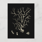 Zwarte en Tan Coral Briefkaart (Voorkant)