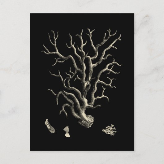 Zwarte en Tan Coral Briefkaart (Voorkant)