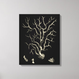 Zwarte en Tan Coral Canvas Afdruk