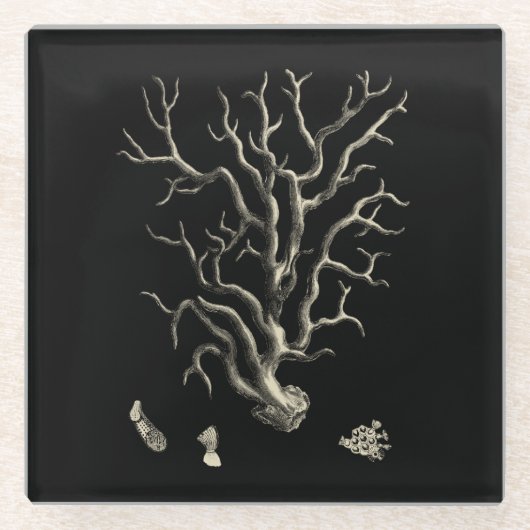 Zwarte en Tan Coral Glazen Onderzetter (Voorkant)