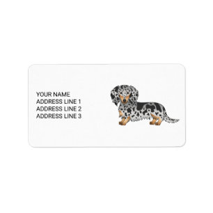 Zwarte en Tan Dapple Long Hair Dachshund & Text Etiket