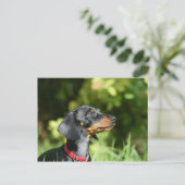 Zwarte en Tan Tekkel 3 van Miniture Briefkaart (Staand voorkant)