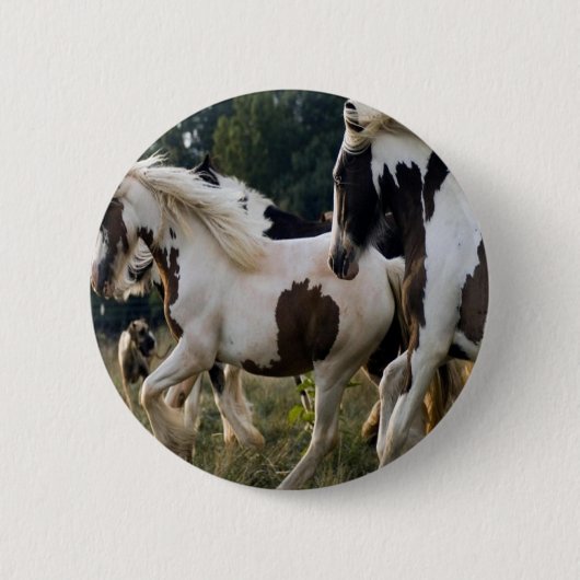 ZWARTE EN WIT 1.PNG RONDE BUTTON 5,7 CM (Voorkant)