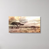 Zwarte en witte acia op de Afrikaanse Savanna Canvas Afdruk (Voorkant)