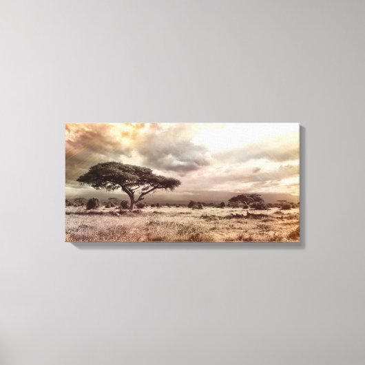 Zwarte en witte acia op de Afrikaanse Savanna Canvas Afdruk (Voorkant)