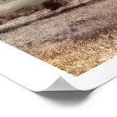 Zwarte en witte acia op de Afrikaanse Savanna Post Poster (Hoek)