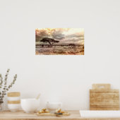 Zwarte en witte acia op de Afrikaanse Savanna Poster (Keuken)