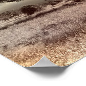 Zwarte en witte acia op de Afrikaanse Savanna Poster (Hoek)