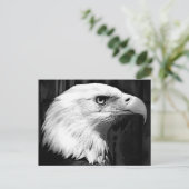 Zwarte en witte adelaar briefkaart (Staand voorkant)