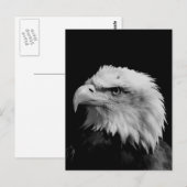 Zwarte en witte adelaar briefkaart (Voorkant / Achterkant)