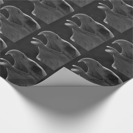 Zwarte en witte adelaar cadeaupapier (Hoek)