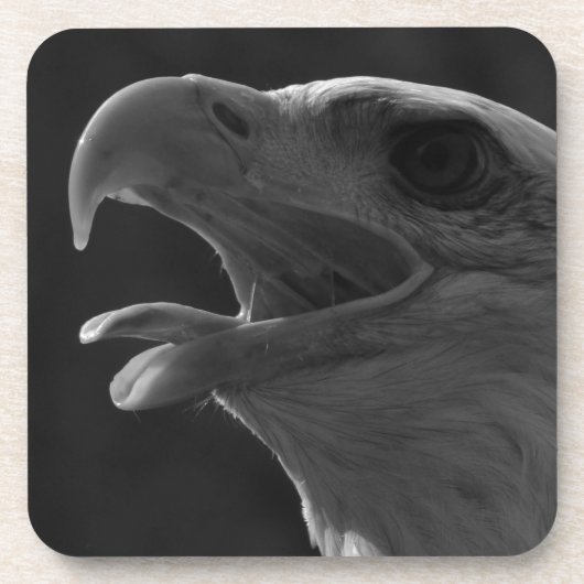 Zwarte en witte adelaar onderzetter (Voorkant)