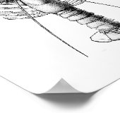 Zwarte en witte afbeelding van de langwerpige afb poster (Hoek)