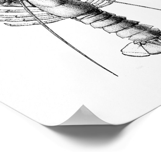 Zwarte en witte afbeelding van de langwerpige afb poster (Hoek)