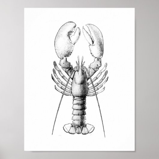 Zwarte en witte  afbeelding van de langwerpige afb poster (Voorkant)