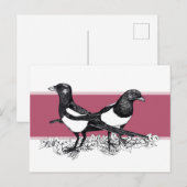 Zwarte en witte afbeelding van Magpies Briefkaart (Voorkant / Achterkant)