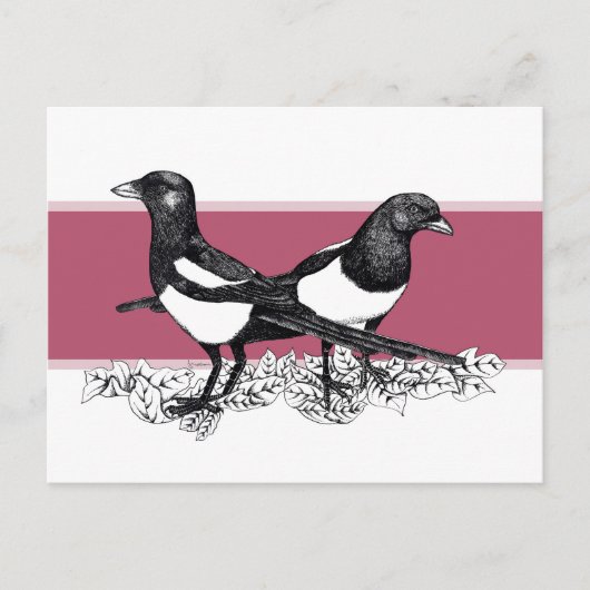 Zwarte en witte afbeelding van Magpies Briefkaart (Voorkant)