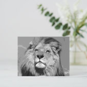 Zwarte en witte Afrikaanse lion Briefkaart (Staand voorkant)