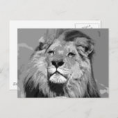 Zwarte en witte Afrikaanse lion Briefkaart (Voorkant / Achterkant)