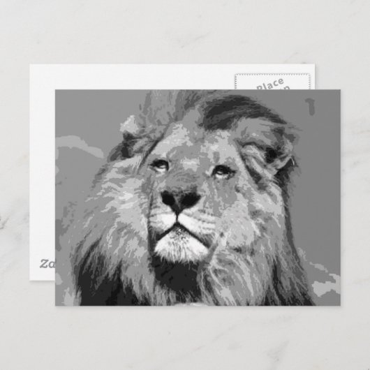 Zwarte en witte Afrikaanse lion Briefkaart (Voorkant / Achterkant)