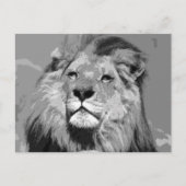 Zwarte en witte Afrikaanse lion Briefkaart (Voorkant)