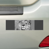 Zwarte en witte Afrikaanse lion Bumpersticker (Op auto)