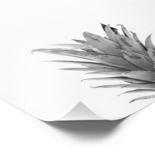 Zwarte en witte anananas foto afdruk (Hoek)