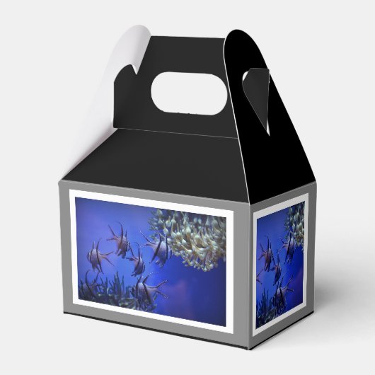 Zwarte en Witte Angelvis in het Deep Blue Zee Bedankdoosjes (Achterkant)