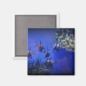 Zwarte en Witte Angelvis in het Deep Blue Zee Magneet (Voorkant / Achterkant)