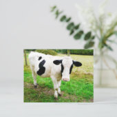 Zwarte en witte Apostrophe S Cow Briefkaart (Staand voorkant)