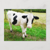 Zwarte en witte Apostrophe S Cow Briefkaart (Voorkant)