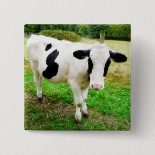 Zwarte en witte Apostrophe S Cow Vierkante Button 5,1 Cm