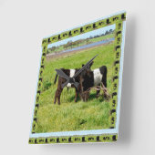 zwarte en witte Baby gestreepte garelkoeien, Vierkante Klok (Hoek)