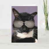 Zwarte en witte bachelorkat op zaterdag kaart (Voorkant)