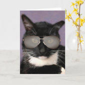 Zwarte en witte bachelorkat op zaterdag kaart (Gele Bloem)